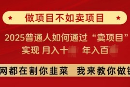 赚钱项目必看，做项目不如卖项目，2025普通人如何通过“卖项目”实现月入十个，年入百个02-03冒泡网