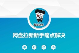 实战网盘拉新新手痛点解决，网盘引流+变现优化方案03-03冒泡网