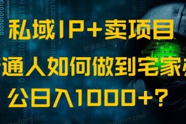 热门项目（14400期）私域IP+卖项目，普通人如何做到宅家办公实现日入1000+03-03中创网