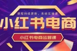 热门项目小红书电商运营实操课，​新手从0~1落地实操03-23冒泡网