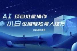 简单项目25年最新项目批量操作，小白也能轻松月入过W，可无限放大【揭秘】03-05冒泡网