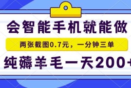 每天（13943期）会智能手机就能做，两张截图0.7元，一分钟三单，纯薅羊毛一天200+01-08中创网