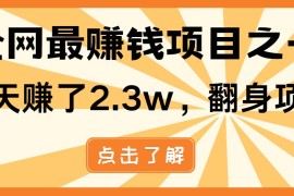 赚钱项目（13674期）小白必学项目，纯手机简单操作收益非常高!年前翻身！12-15中创网