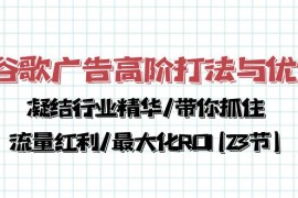 很火跨境电商项目，谷歌广告高阶打法与优化，凝结行业精华/带你抓住流量红利/最大化ROI(23节)