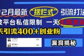 实战12月最新“摆烂式”引流打法，突破平台私信限制，一天无限发私信，单天引流400+创业粉12-06冒泡网