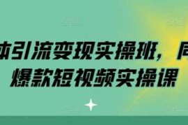 赚钱项目实体引流变现实操班，同城爆款短视频实操课11-23冒泡网