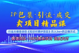 2024最新（13780期）《IP包装·暴力引流·闪电成交卖项目精品课》如何在众多导师中脱颖而出？12-23中创网