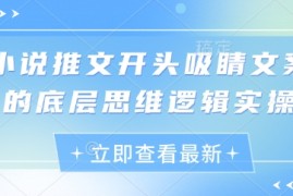 小说推文开头吸睛文案的底层思维逻辑实操