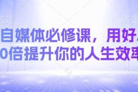 简单项目AI自媒体必修课，用好AI10倍提升你的人生效率03-26冒泡网