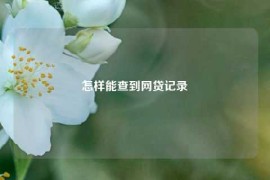 怎样能查到网贷记录