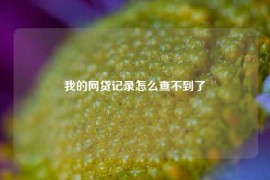 我的网贷记录怎么查不到了