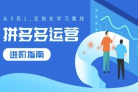 最新项目拼多多运营进阶指南，从0到1定制化学习路线08-23冒泡网