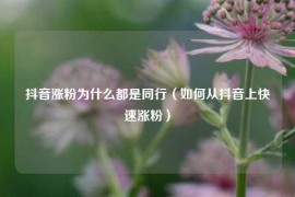 抖音涨粉为什么都是同行（如何从抖音上快速涨粉）