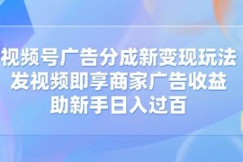 每天（14588期）视频号广告分成新变现玩法：发视频即享商家广告收益，助新手日入过百03-20中创网