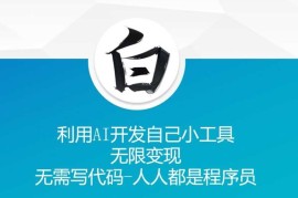 创业项目利用AI开发自己小工具无限变现无需写代码人人都是程序员11-22冒泡网