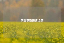 网贷获取通话记录