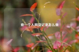 查一个人网贷记录怎么查