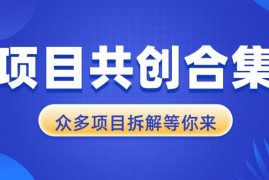 每天（13778期）项目共创合集，从0-1全过程拆解，让你迅速找到适合自已的项目12-23中创网