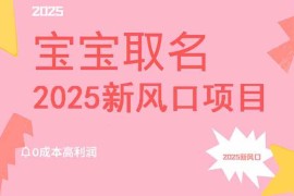 每日（14593期）2025新风口项目宝宝取名，0成本高利润，附保姆级教程，月入过万不是梦03-20中创网