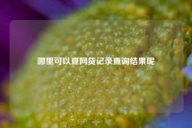 哪里可以查网贷记录查询结果呢