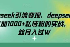 每日deepseek引流变现，deepseek被动日加1000+私域粉的实战，0粉丝月入过W03-01冒泡网