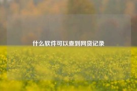 什么软件可以查到网贷记录