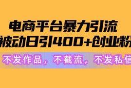 很火引流-涨粉-软件项目，电商平台暴力引流,被动日引400+创业粉不发作品，不截流，不发私信