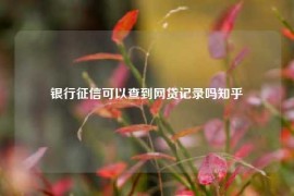 银行征信可以查到网贷记录吗知乎