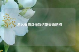 怎么查网贷借款记录查询明细