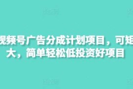 实战最新视频号广告分成计划项目，可矩阵放大，简单轻松低投资好项目03-20冒泡网