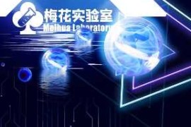 实战视频号连怼玩法-5760大尺寸去重AB技术-梅花实验室社群专享03-21冒泡网