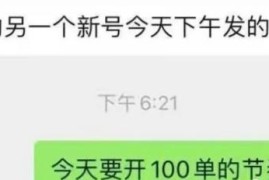 大数据查询新推广模式，听说能月赚10w
