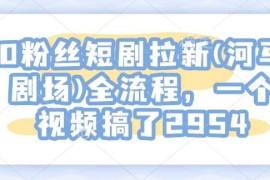 简单项目0粉丝短剧拉新(河马剧场)全流程，一个视频搞了295402-01冒泡网