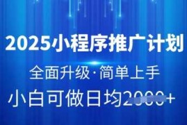 热门项目2025小程序推广计划，全面升级，简单上手，日均多张【揭秘】03-22冒泡网