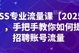 创业项目BOSS专业流量课【2025新课】，手把手教你如何提升招聘账号流量02-07冒泡网