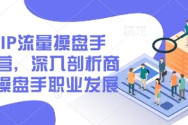 2025IP流量操盘手训练营，深入剖析商业IP操盘手职业发展（更新）