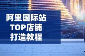 简单项目（14269期）阿里国际站TOP店铺打造教程：涵盖平台到高阶，解决运营难题，提升询盘02-22中创网