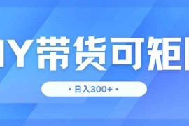 （14414期）DY带货，日入300＋矩阵无上限