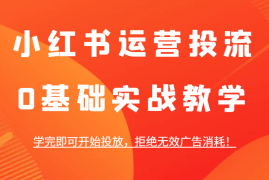 热门项目小红书运营投流，0基础实战教学，学完即可开始投放，拒绝无效广告消耗！12-15福缘网