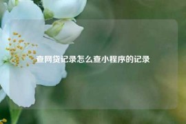 查网贷记录怎么查小程序的记录