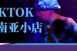 Tiktok东南亚跨境小店运营班，一门专业的TK小店运营培训课