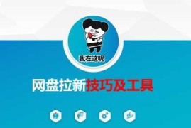 热门项目做网盘拉新技巧及工具，做网盘拉新真正的核心03-26冒泡网