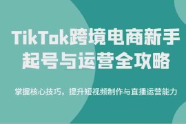 创业项目TikTok跨境电商新手起号与运营全攻略，掌握核心技巧，提升短视频制作与直播运营能力03-11福缘网