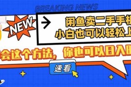 （14221期）闲鱼卖二手手机，小白也可以轻松上手，学会这个方法，你也可以日入800+