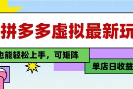 25最新拼多多虚拟电商，单店日入3位数， 小白也能快速上手，保姆级教程