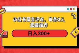 赚钱项目（14044期）小红书评论单条0.5元，日入300＋，无上限，详细操作流程01-24中创网