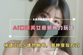 赚钱项目AI美女新玩法，超大流量+快速引流+速热账号11-18冒泡网