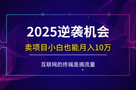 手机项目（14122期）项目标题：2025逆袭机会，卖项目小白也能轻松月入10万+03-23中创网