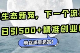 实战微信生态新宠小绿书：下一个流量洼地，日引500+精准创业粉，粉丝质量超高11-21冒泡网