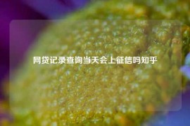 网贷记录查询当天会上征信吗知乎